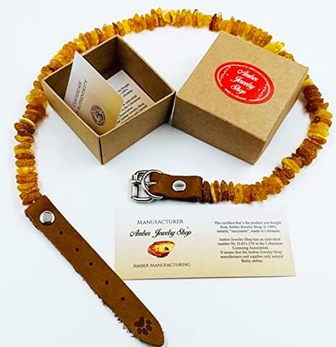 Baltic Amber Dog & Cat Collar - Image 4