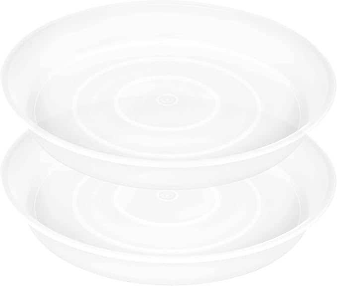 2 Pack of 8 inch Plant Saucer Clear, Heavy Duty Plastic Plant Water Tray 8 inch by Bleuhome