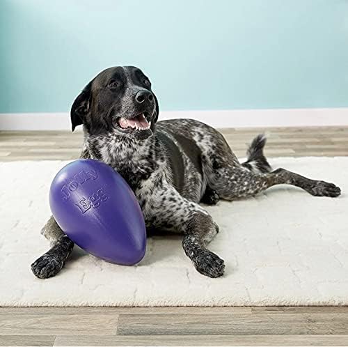 Jolly Pets Jolly Egg Dog Toy, 12 Inches/Large - Image 7