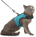 PUPTECK Soft Mesh Cat Vest Harness and Leash Set Puppy Padded Pet Harnesses by PUPTECK