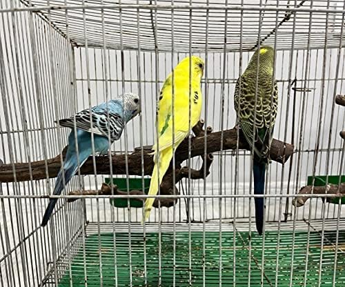 Bird perches Bird Perch Stand Perches - Image 5