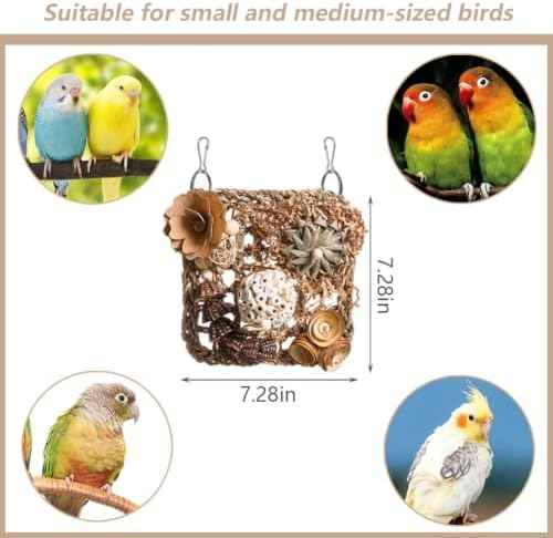 Bird Foraging Toys Natural Bird Toys Conure Toys Parrot Shredding