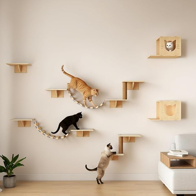 Cat Wall Shelves, Wood 8-in-1 Cat Wall Furniture Set, Large Cat Shelves by Nyeekoy