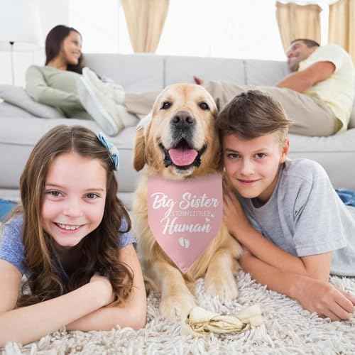 Baby Announcement Dog Bandana Big Sister to My Little Human Gender