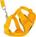 RC Pets Adventure Kitty Cat Harness | Adjustable Airmesh Vest by RCPets