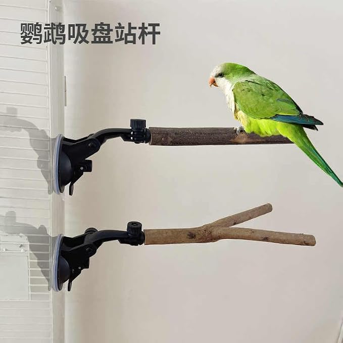 2 PCS Parrot Perch Stand with Suction Cup, Window Perch - Image 2