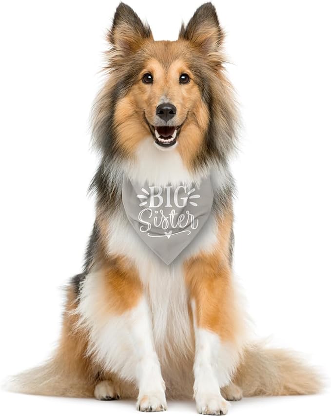 Big Sister Dog Bandanas, Light Gray Dog Bandana, Pet Triangle Scarf Accessories - Image 4
