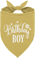 Birthday Boy Dog Bandanas, Dog Birthday Bandana, Birthday Bandana by corner+wind