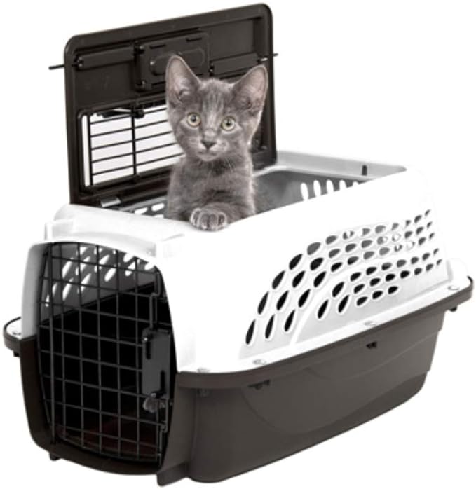 Petmate Dog Crates for Small Dogs & Cat Carriers, Two-Door Plastic Pet Kennel - Image 5