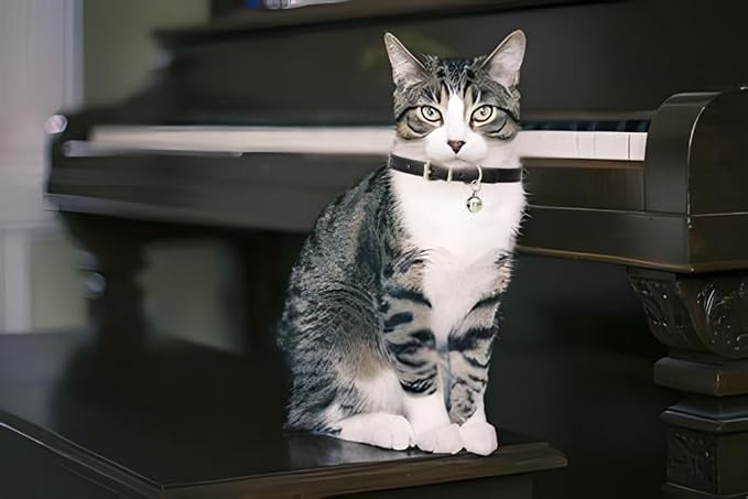 Black Small Collar with Bell, Soft Pu Leather Cat Collars Adjustable Buckle - Image 3