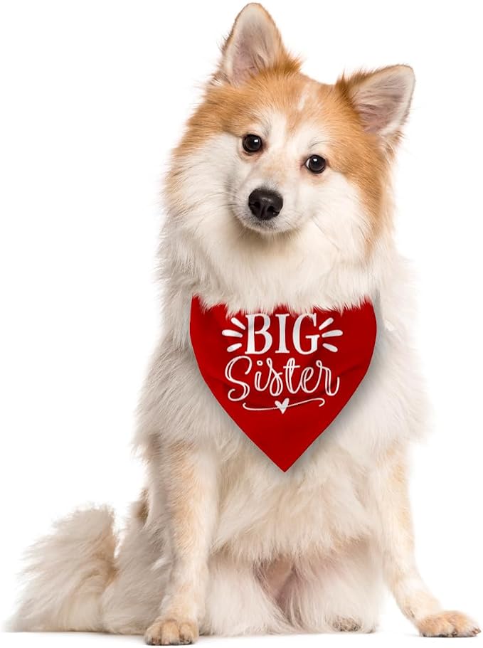Big Sister Dog Bandana, Pet Dogs Pregnancy Announcement, Pet Bandanas - Image 2