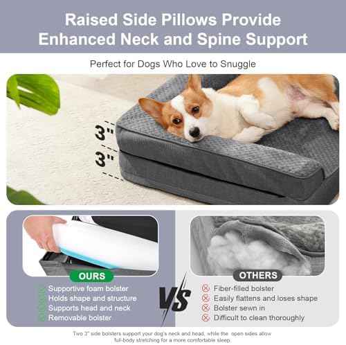 Rainmr Dog Beds for Small Dogs - Washable Pet Bed for Puppy and Kitten
