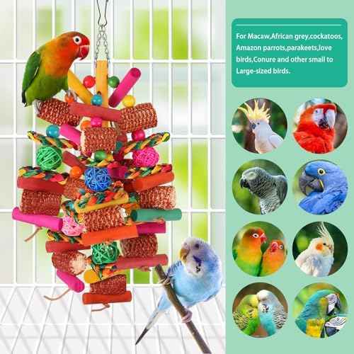 Kyouki Parrots Toys for Cockatiels, Budgies, Conures, Lovebirds