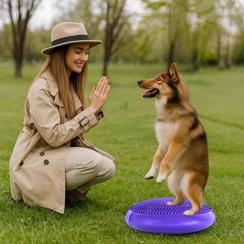 Dog Balance Disc 14", Dog Balance Equipment with Cushion and Pump, Pet