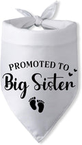 Promoted to Big Sister Pregnancy Announcement Dog Bandana Baby Gender Reveal by PwrlveiutforYou