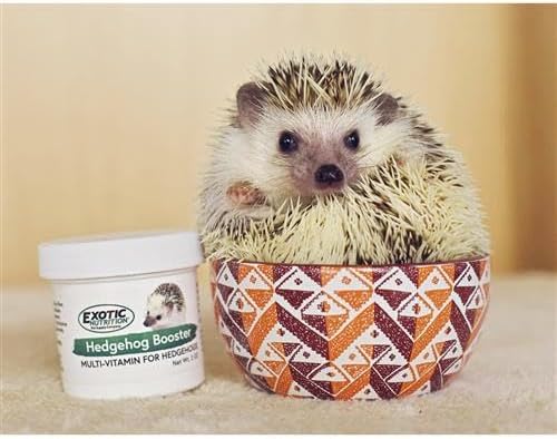 Exotic Nutrition Hedgehog Home & Starter Package - GlobalHabitat Supply
