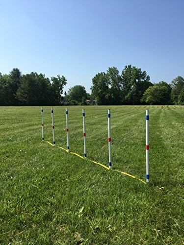 Dog Agility Equipment Deluxe Beginner Set, 3 Bar Jumps, 6 Weave Poles, 1 - Image 9