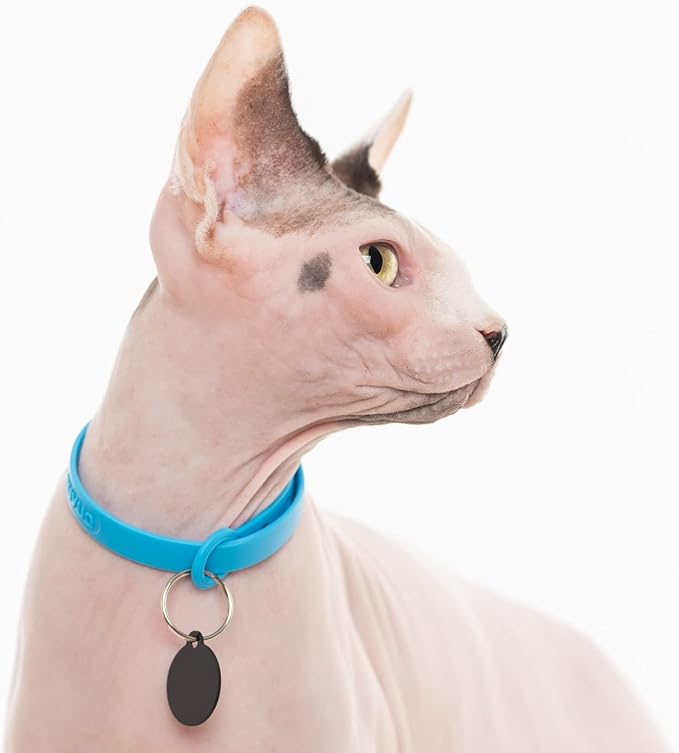5 Pack Breakaway Cat Collar - Image 8