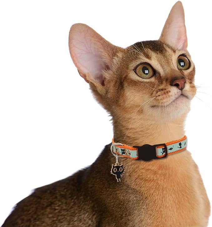 2 Pack Glow in The Dark Cat Collar - Image 6