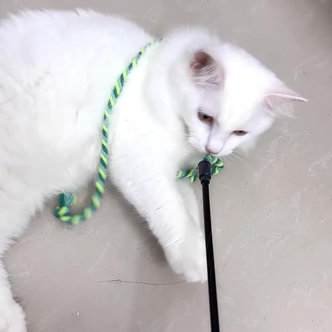 IUHKBH Cat Wands, Safe Kitty Toys - Image 7