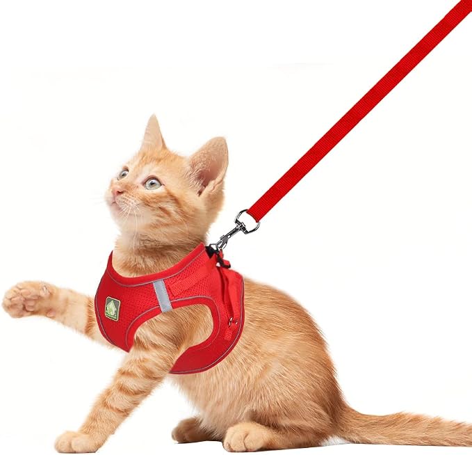 FEimaX Dog Harness and Leash Set, No Pull Breathable Soft Mesh Puppy Vest - Image 2