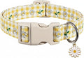 Cute Dog Collar, Spring Summer Design Floral Collar by Britwicfr