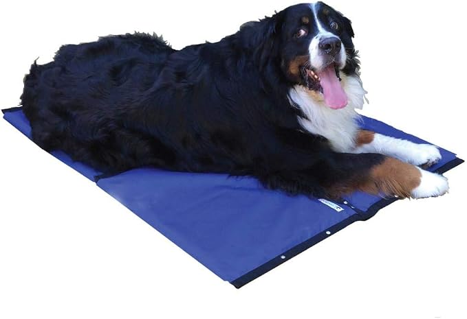 CoolerDog Hydro Cooling Mat 4 Pack by CoolerDog