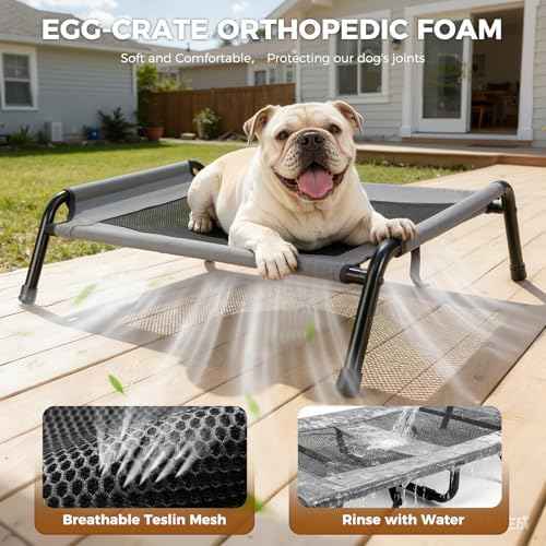 Lekereise Outdoor Elevated Dog Beds for Small Dogs, Portable Indoor &