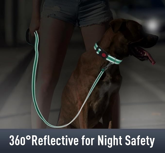 Airtag Dog Collar with AirTag Holder - Image 4