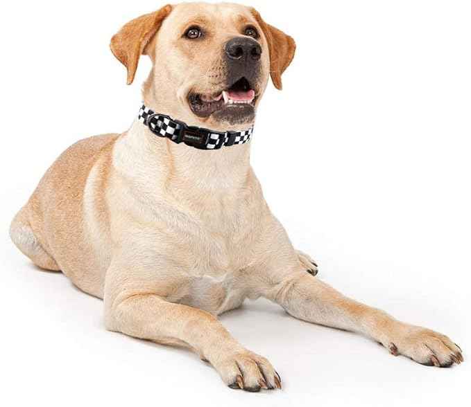 QQPETS Adjustable Soft Dog Collar: Print Flower Pink Multicolor Cute Patterns