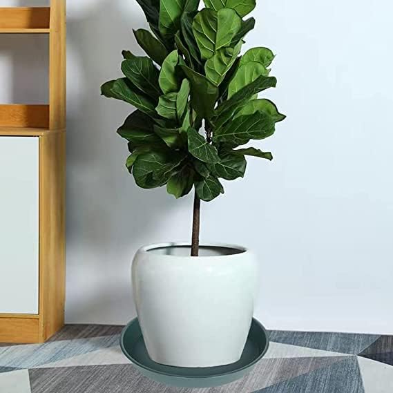 6 Pack of 7 inch Plant Saucer, Heavy Duty Plastic Plant Water Tray 7 inch Round - Image 4