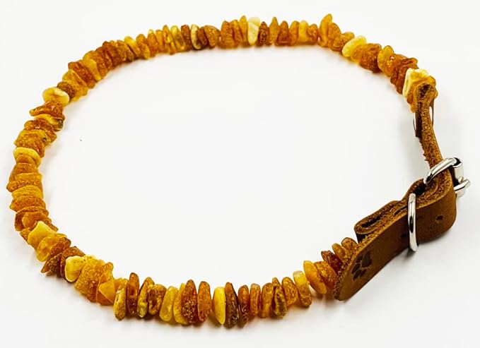 Amber Collars for Dogs & Cats - Image 4