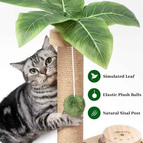 Meowoou Cat Scratching Post Cat Scratcher Interactive Toy with