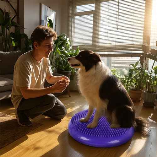Dog Balance Disc 14", Dog Balance Equipment with Cushion and Pump, Pet