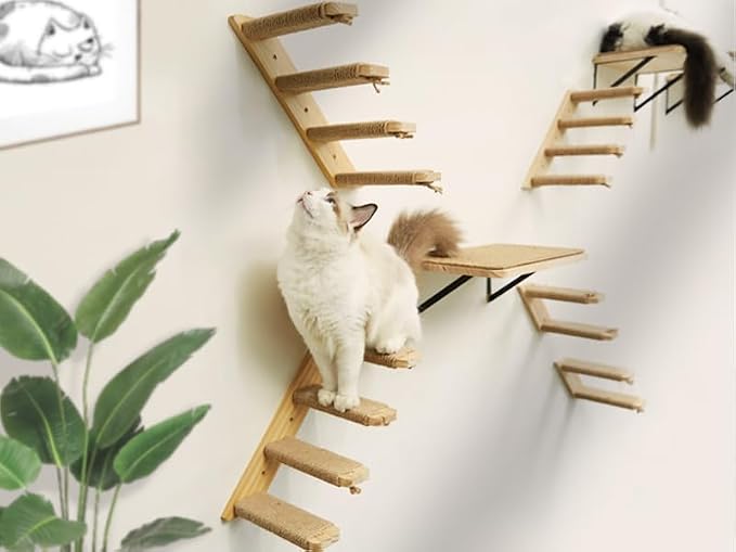 Cat Wall Shelves & Stairs - Image 3