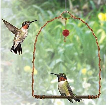 Songbird Essentials Sehhhums Copper Hummingbird Swing - Image 2