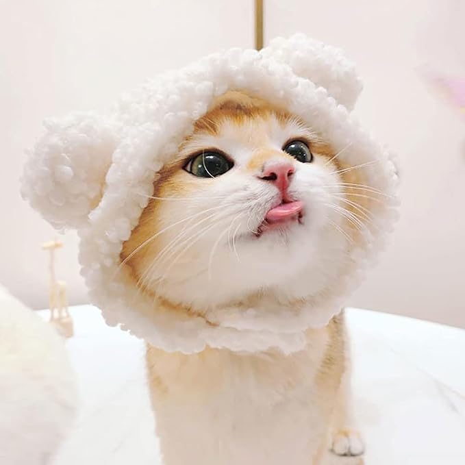 JOICEE Cute Cat Costume - Image 2