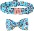 MR. CHUBBYFACE Valentine's Dog Collar with Bowtie, Cute Blue Heart Dog