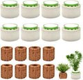 16 Pack Aquarium Plant Weights, Aquatic Plants Fixed Ring Set