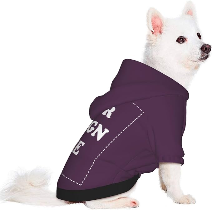 Personalized Chihuahua Dog Hoodie, Custom Pet Warm Sweatshirt Costume - Image 2