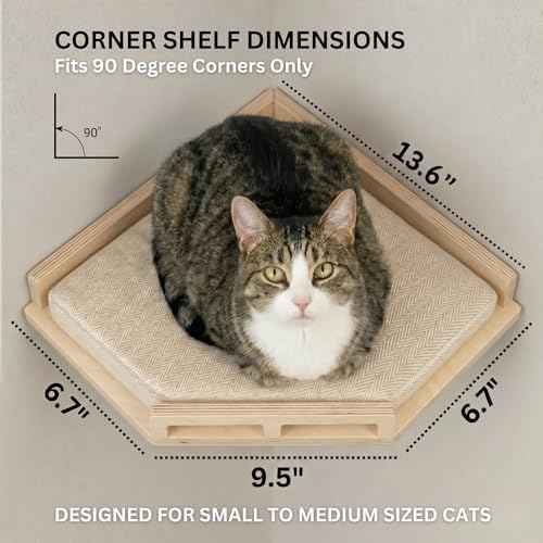 INICIO Cat Wall Shelves and Steps, 4-Piece Wooden Cat Wall Furniture