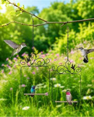 PACETAP Hummingbird Swings and Perches Metal Frame 2 Pack, Wild Bird