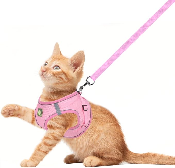 FEimaX Dog Harness and Leash Set, No Pull Breathable Soft Mesh Puppy Vest - Image 2