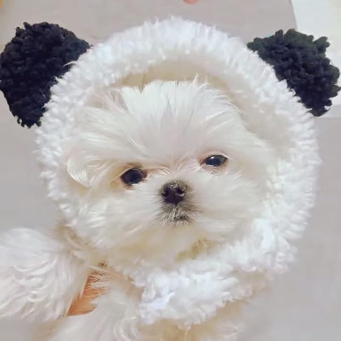 JOICEE Cute Cat Costume - Image 6