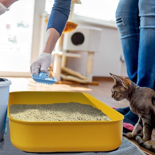 5PCS Small Litter Box, Plastic Kitten Litter Box, 13.9 x 9.8 x 3 Inch