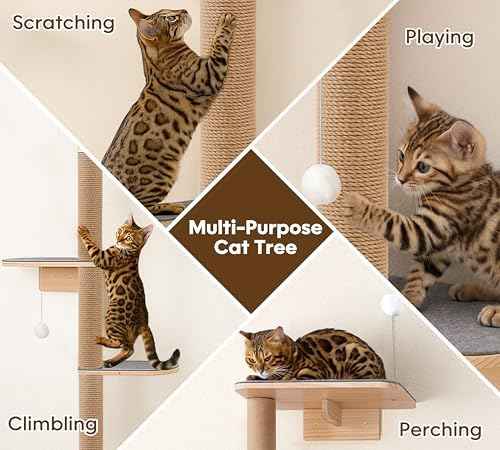 Floor to Ceiling Cat Tree for Kittens, 5-Tier Wall Mounted Cat Wall