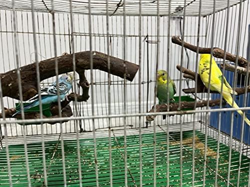 Bird perches Bird Perch Stand Perches - Image 6