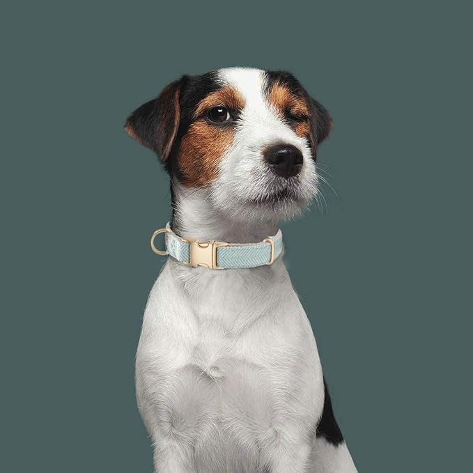 Soft Cotton Hemp Dog Collar - Image 6