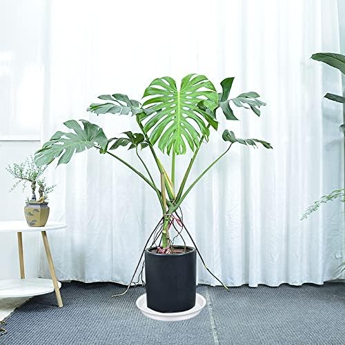 4 Pack of 14 inch Plant Saucers, Plant Saucer 14" Round, Plastic Plant Tray - Image 2