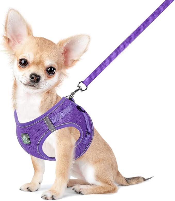 FEimaX Dog Harness and Leash Set, No-Pull Breathable Soft Mesh Puppy Vest by FEimaX